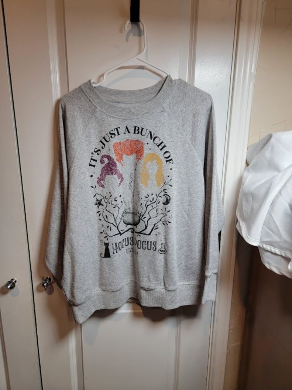 Disney Hocus Pocus Sanderson Sisters Sweatshirt 0X Gray Halloween Witches